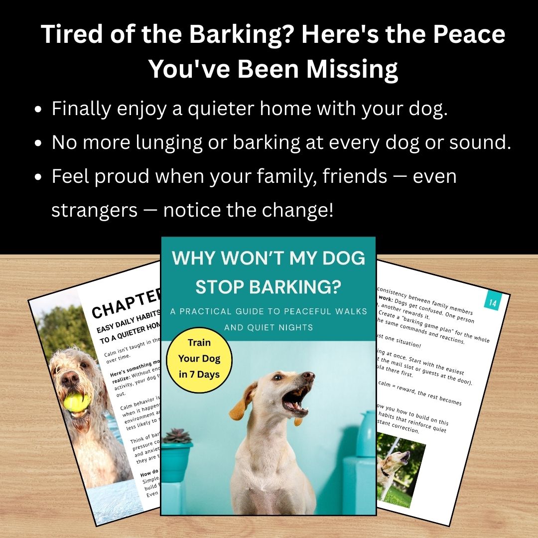 The Guide to Barking Solutions!
