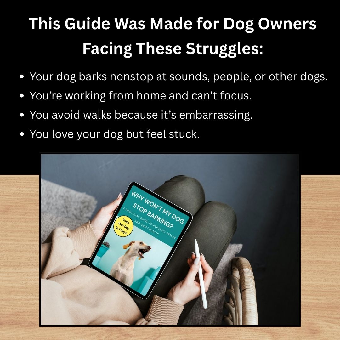 The Guide to Barking Solutions!