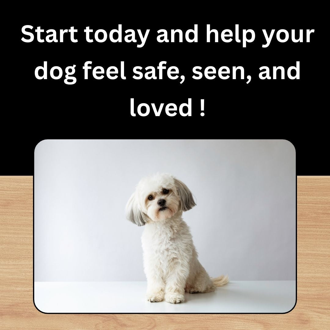 The Guide to Barking Solutions!