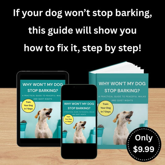 The Guide to Barking Solutions!